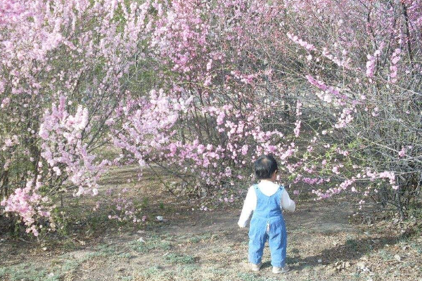 西安育婴师
