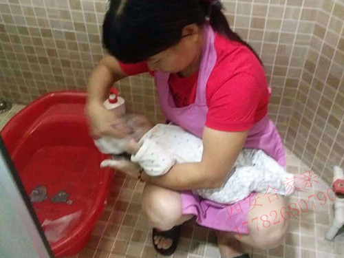 西安保姆价格 西安保姆价格